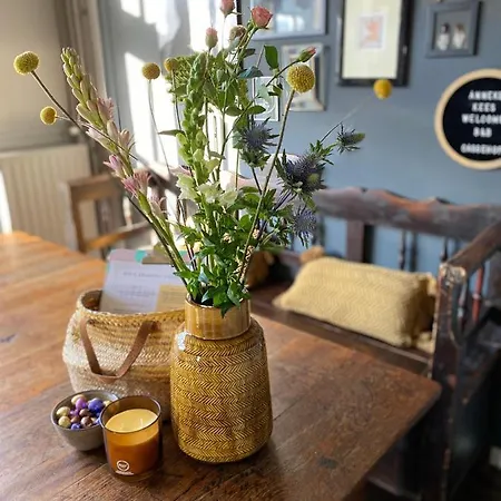 招待所 Cassehof Ospel