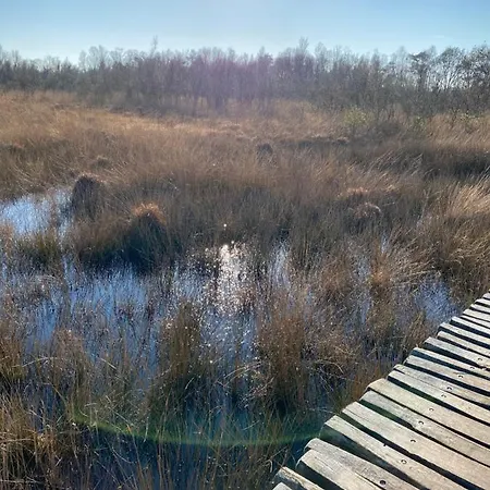 招待所 Cassehof Ospel